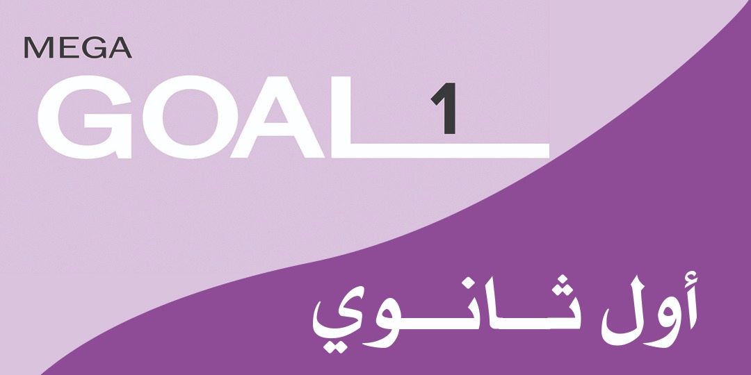 Mega Goal_1_4490