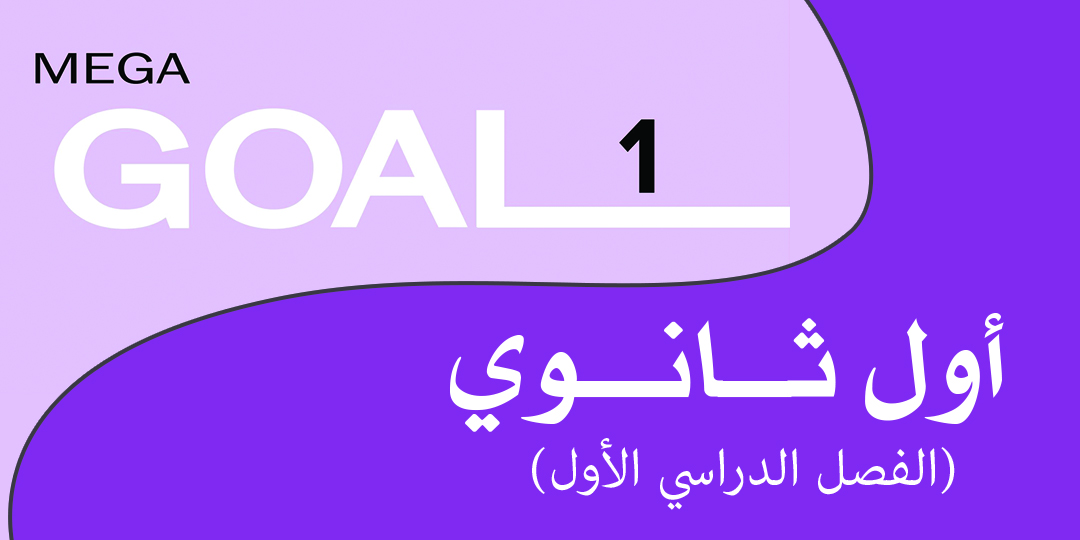 Mega Goal_1_4490