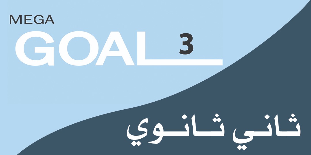 Mega Goal_2_4536