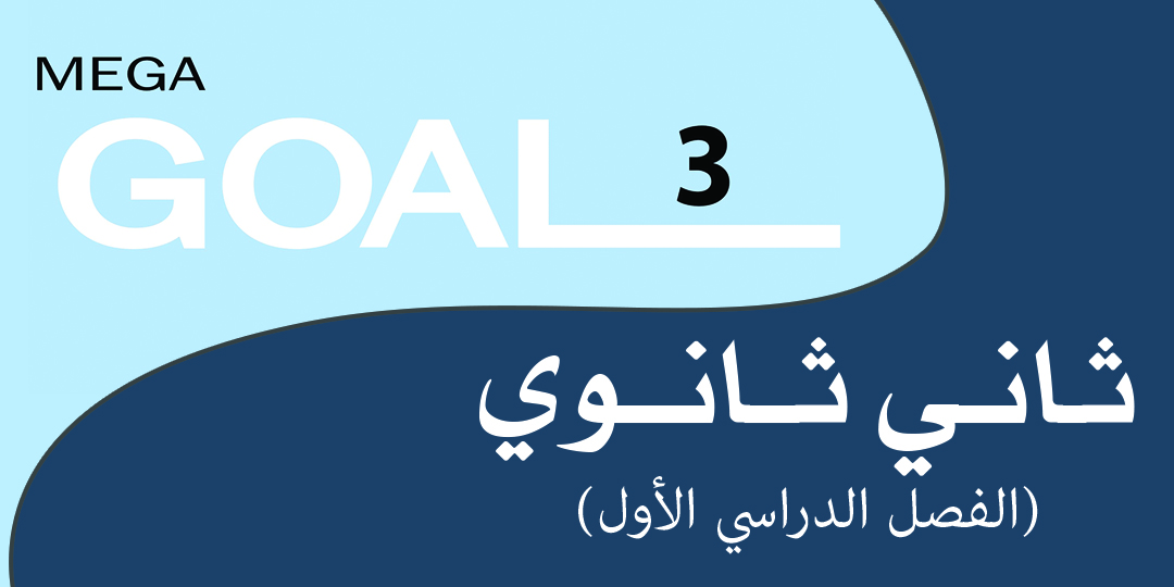 Mega Goal_2_4536