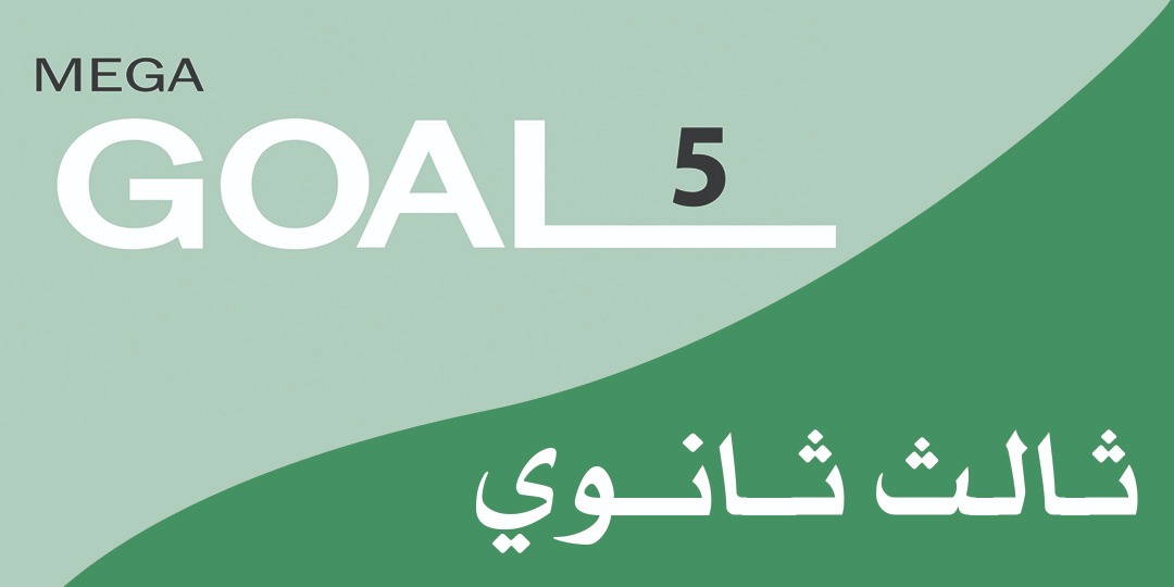 Mega Goal_3_4655