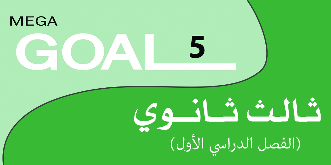 Mega Goal_3_4655