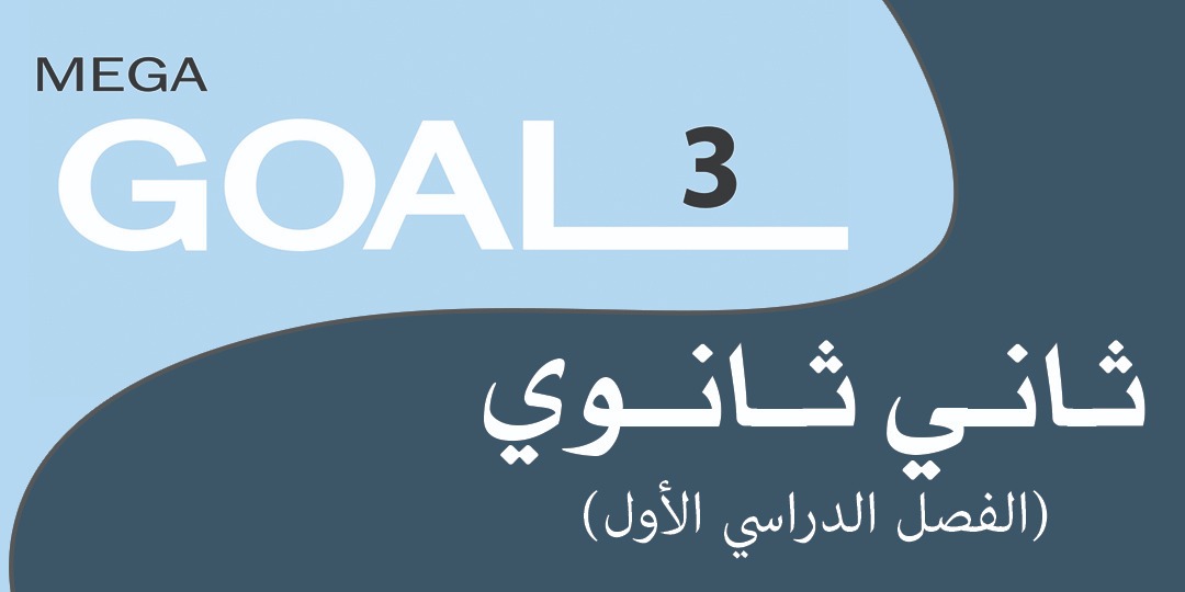 Mega Goal_3_60