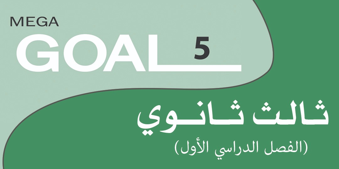 Mega Goal_5_61